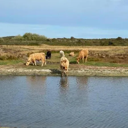 아파트 Le D'oye - Bord De Mer-reserve Naturelle- Oye Oye-Plage